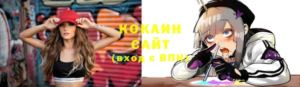 твердый Касимов