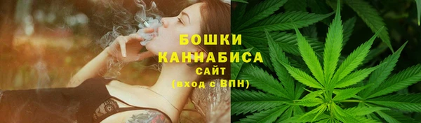 твердый Касимов