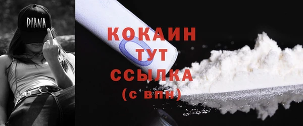 твердый Касимов