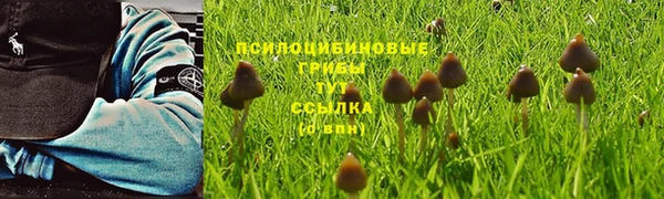 СК Карталы