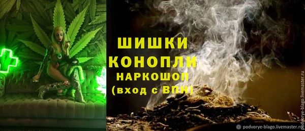 твердый Касимов