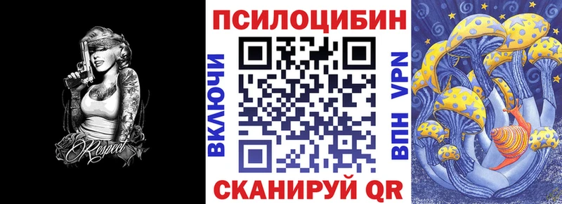 Купить где  Данилов  Псилоцибиновые грибы ЛСД 