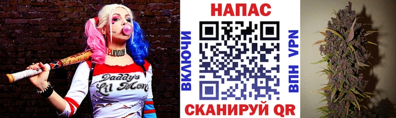 Купить закладки  Данилов  Каннабис MAZAR 